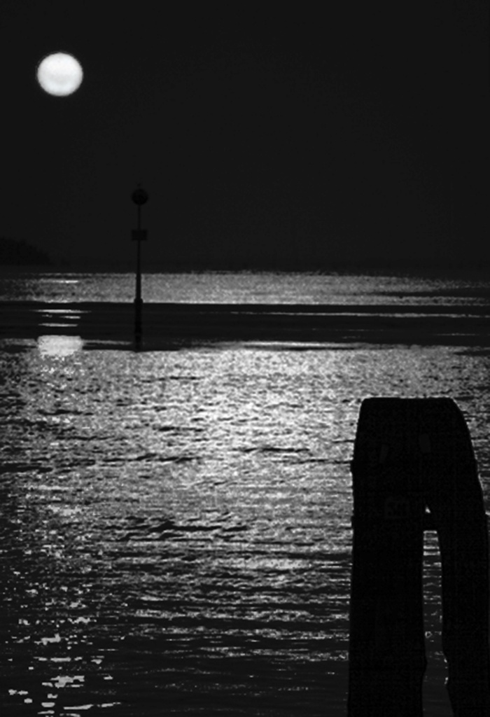 Gallery Title Here