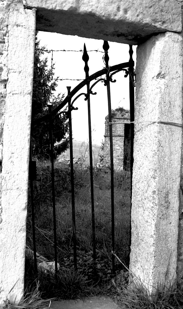 Gallery Title Here