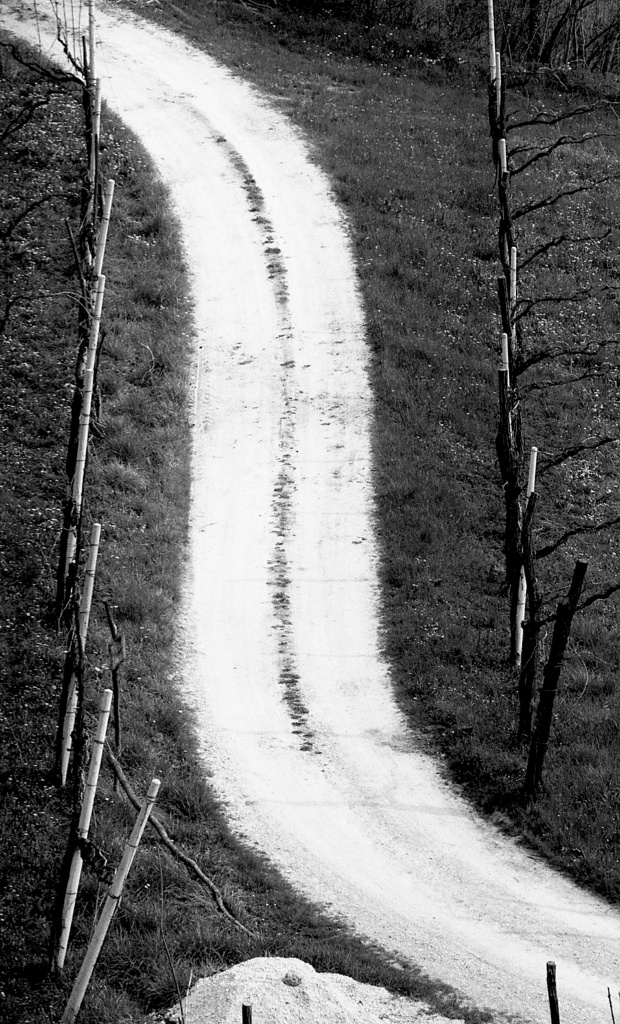 Gallery Title Here
