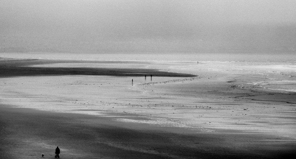 Gallery Title Here