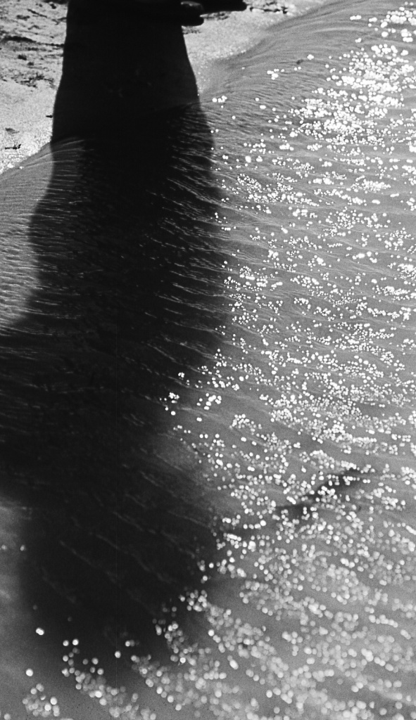 Gallery Title Here
