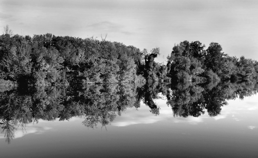 Gallery Title Here