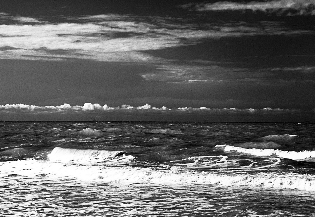 Gallery Title Here